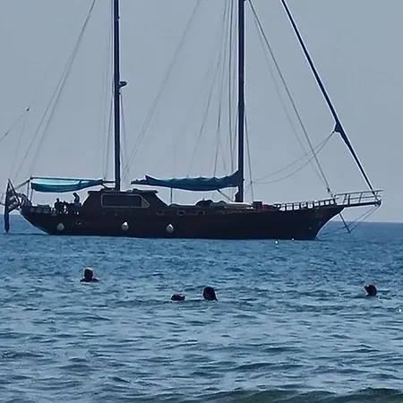 Alex 32 * Larnaca