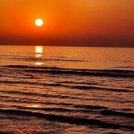 Alex 32 Larnaca